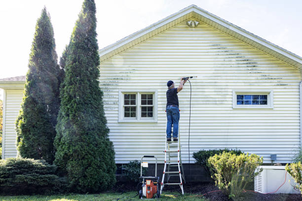 Best Affordable Power Washing  in Ione, CA